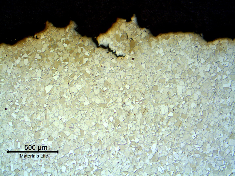 Micrography of the longitudinal section of the conector, at the fracture position, showing secondary cracks from the fracture surface.