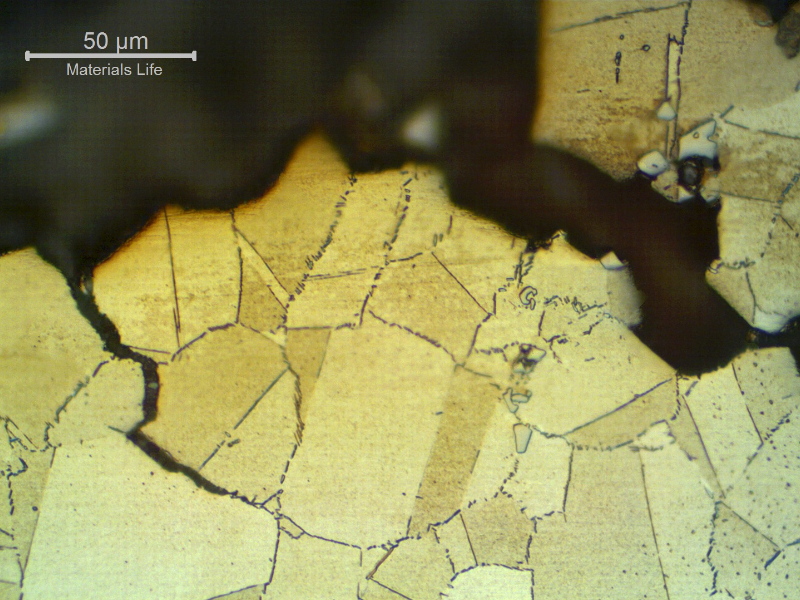 Micrographic detail of a longitudinal section of the connector, at the fracture surface (in the top), showing intergranular secondary cracks.