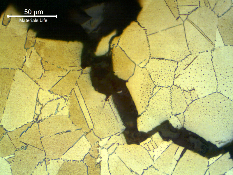 Micrographic detail of a longitudinal section of the connector, at the fracture surface (in the top), showing intergranular secondary cracks. There is a large amount of delta phase precipitated intergranular and intragranluar.