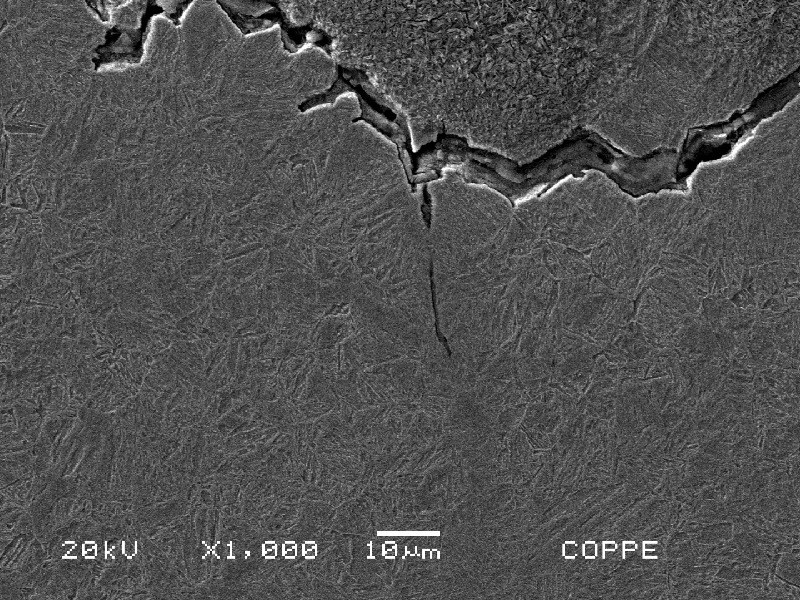 Micrographic detail of the intergranular secondary cracks, parallel to the fracture, typical of a hydrogen assisted cracking. Close to the cracking it is possible to see an elongated inclusion, probably of a sulfide type.