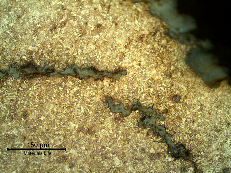Micrographic detail of the longitudinal section of the link, close to the fracture surface, presenting the intergranular morphology of the secondary cracks, parallel to the fracture.