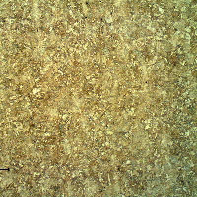 Micrography of a longitudinal section of the link, presenting a tempered martensitic structure, typical of a quenching and tempering heat treatment and compatible with the link hardness of 43 HRc.