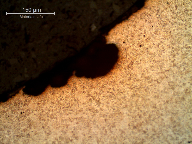 The disc spring presented several small pits, as this one, that did not propagate.