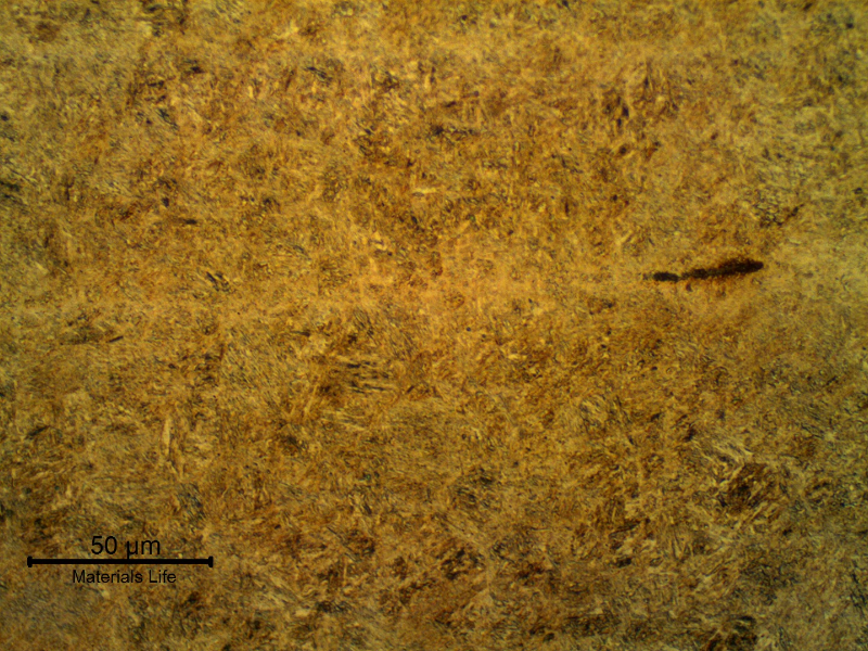 Micrographic aspect of the disc in the longitudinal section. Tempered martensitic structure, probably strain hardened.