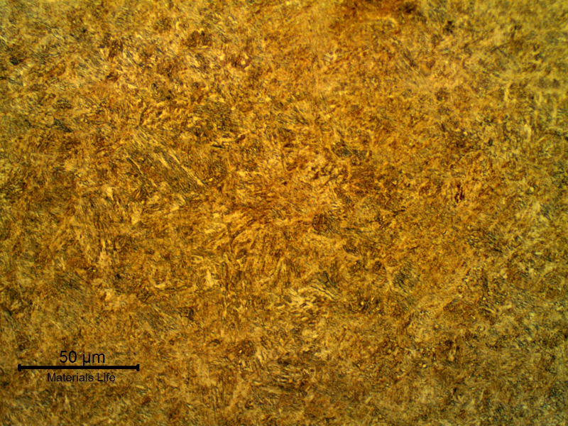Micrographic aspect of the disc in the transverse section. Tempered martensitic structure, probably strain hardened.