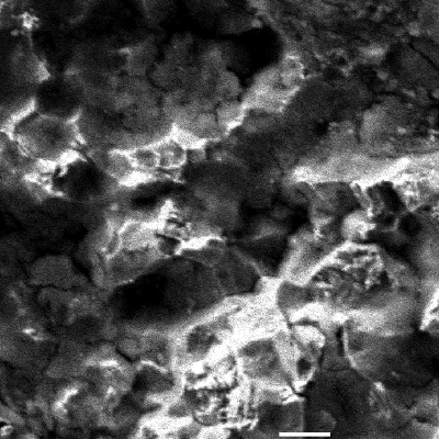 Microscopic detail of the fracture surface in the position where the fracture is intergranular, probably due to the MIC attack creating an embrittled condition of the material. A surface film is evident in this position suggesting that the fracture remained open and exposed to the environment during a certain time before the failure was detected.