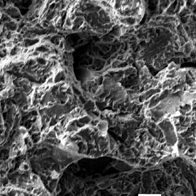Microscopic detail of the fracture surface where it is transgranular, by quasecleavage.  This aspect is similar to the one expected for this high strenght material without any embrittlement.