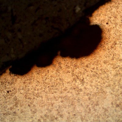 The disc spring presented several small pits, as this one, that did not propagate.