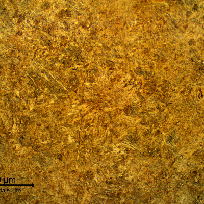 Micrographic aspect of the disc in the transverse section. Tempered martensitic structure, probably strain hardened.