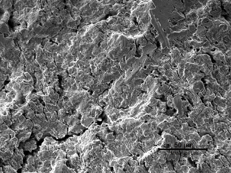 Scanning electron fractography of the pin in the fatigue subcritical crack growth, showing striation and regions of smashing .