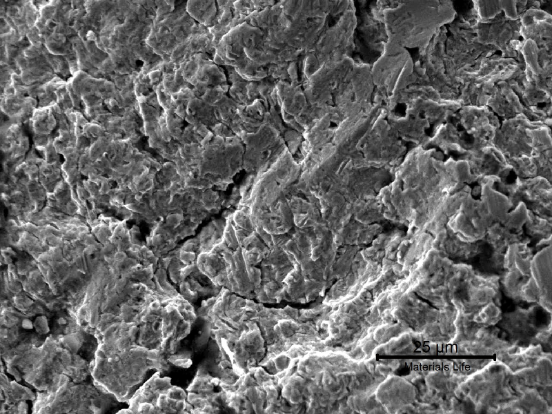 Fractographic detail of the fatigue striation in the subcritical crack growth.