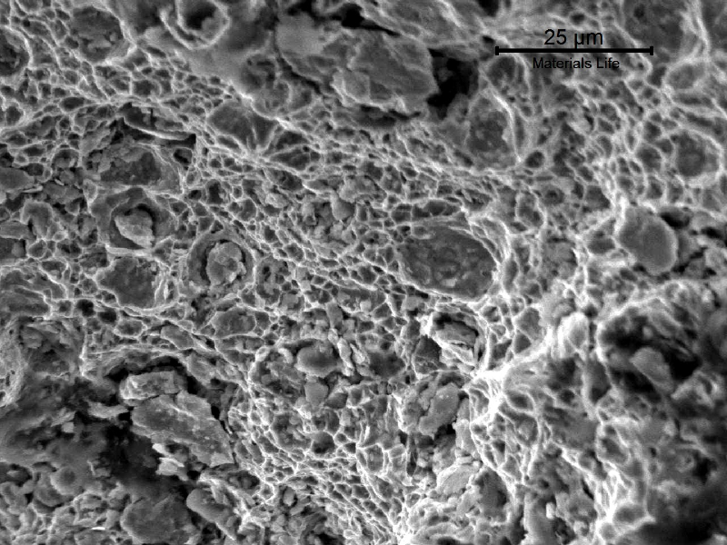 Fractography of the final fracture of the pin, presenting dimples (ductile fracture), after the nucleation and subcritical propagation of fatigue fracture.