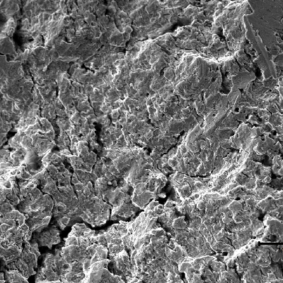 Scanning electron fractography of the pin in the fatigue subcritical crack growth, showing striation and regions of smashing .