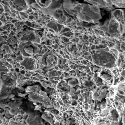 Fractography of the final fracture of the pin, presenting dimples (ductile fracture), after the nucleation and subcritical propagation of fatigue fracture.