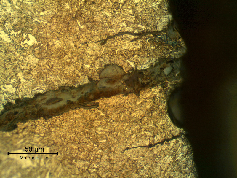 Micrography of the external surface of the tubular equipment, close to the fracture position (it is to the top of the figure),  showing multiple cracks, typical of a corrosion fatigue mechanism.