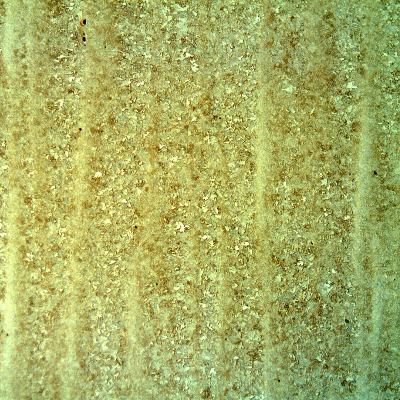 Micrography of the quenched and tempered structure. Longitudinal section. Sligthly banded.