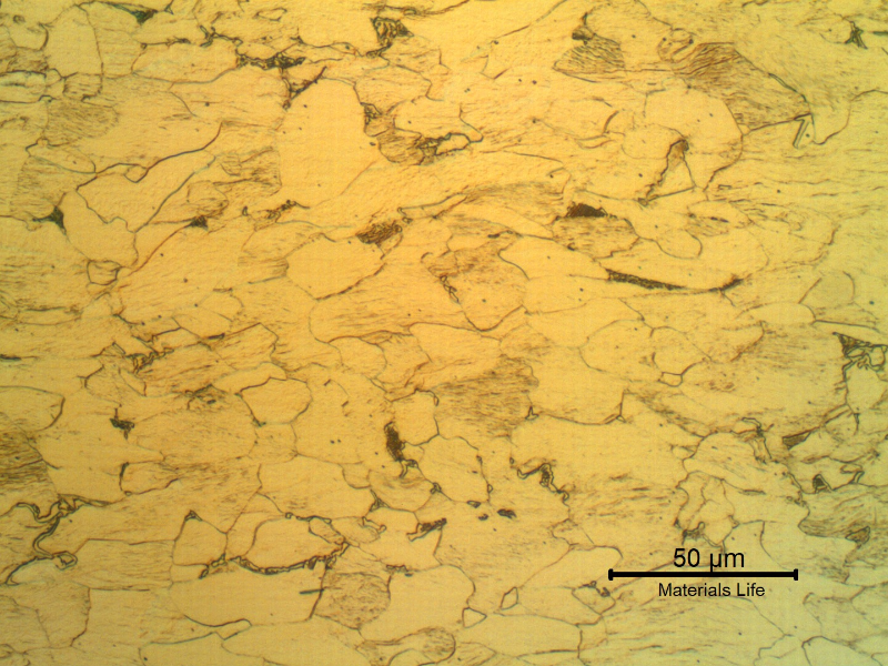 Micrographic detail of a transverse section of the back steel of an engine bearing, presenting a predominantly ferritic structure, strain hardened.
