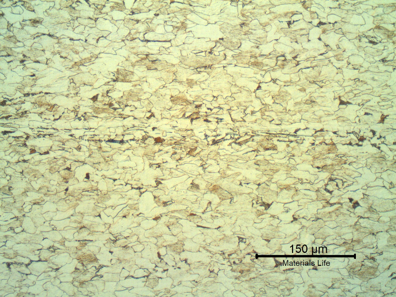 Micrography of a transverse section of the back steel of an engine bearing, presenting a predominantly ferritic structure, strain hardened.