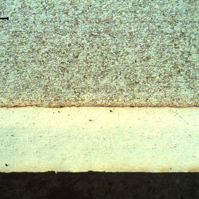Micrography of a transverse section of the engine bearing, close to the internal surface, showing two layers of bearing alloys that presents a total thickness of 600 microns.