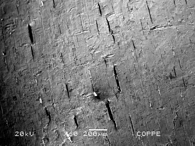 Microscopic detail of the cracks at the surface of the pin, close to the fracture. It is possible to see that the cracks are not associated to plastic deformation at the surface. Instead they are brittle and associated to regions where the material lost the passivation (dark grey stains at the surface). Some cracks that already opened (a little) showed deformation at the tips.