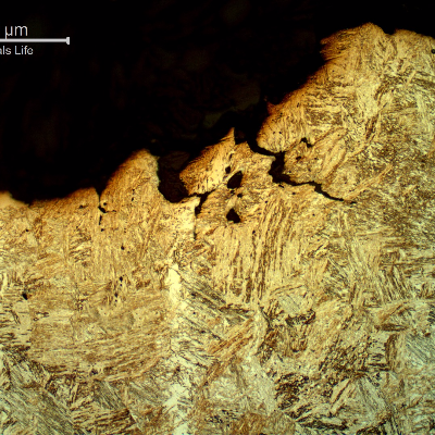 Micrography of the pin in a longitudinal section, transverse to the fracture surface, at the ductile final fracture, presenting microvoids connecting with plastic deformation of the structure.