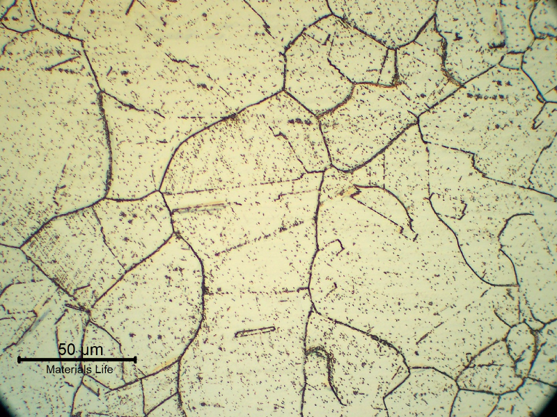 Micrography of the 1.65 mm thickness tube, in the middle of the thickness of the longitudinal section.  This part of the tube is located in position 3, where intergranular and transgranular carbide precipitation occurred during service.