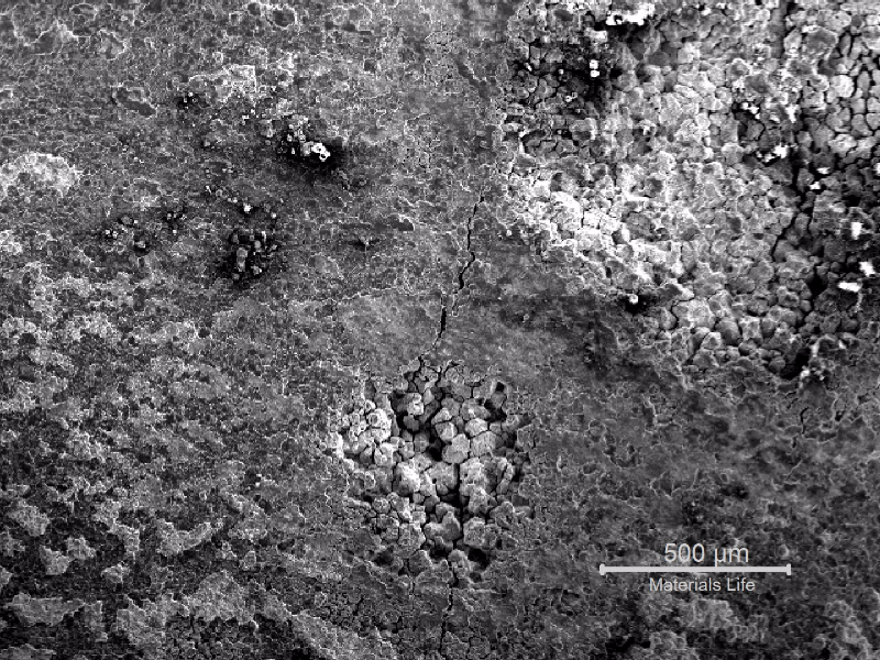 The low magnification image of the internal surface of the tube, in position 2, shows several points of localized corrosion, with intergranular morphology.