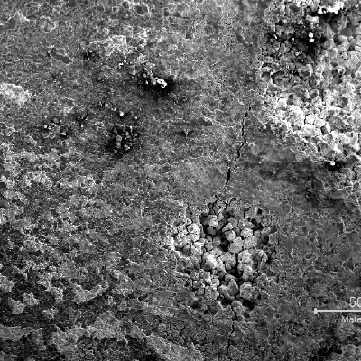 The low magnification image of the internal surface of the tube, in position 2, shows several points of localized corrosion, with intergranular morphology.