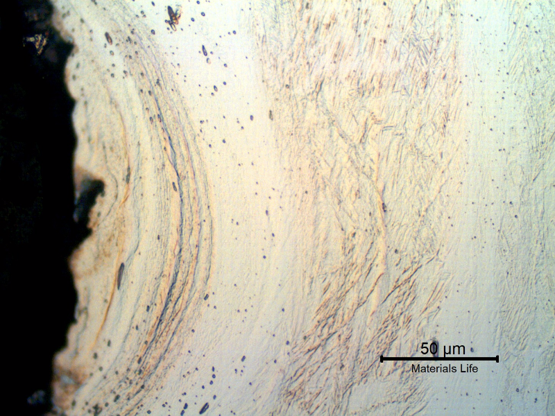Micrographic detail of the strain hardened austenitic structure at the thread.