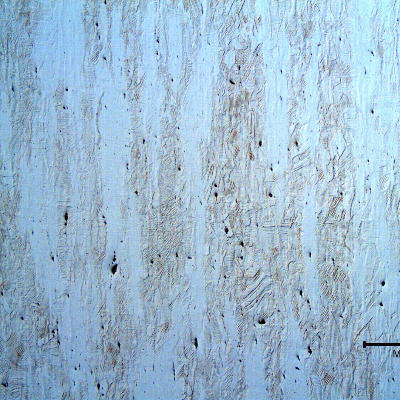 Micrography of the longitudinal section of the bolt, in the center of the body thickness. Strain hardened austenic structure.