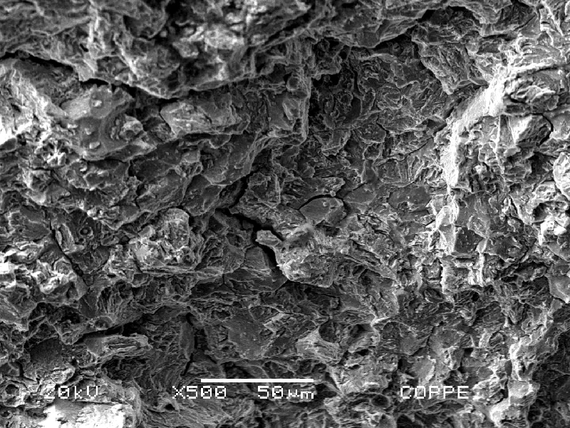 Fractographic analysis of the pin fracture surface showing inter and transgranular morphologies of fracture micromechanisms.