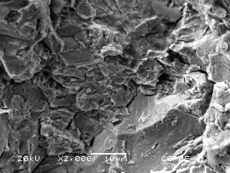 Fractographic analysis of the pin showing a region of predominantly intergranular fracture micromechanism.