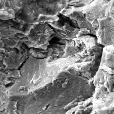 Fractographic analysis of the pin showing a region of predominantly intergranular fracture micromechanism.