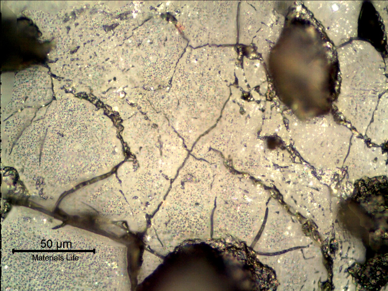 The as polished micrographic aspect of the corroded surface shows pitting and several microcracks, probably associated to the biological attack and material embrittlement. Replication technique.