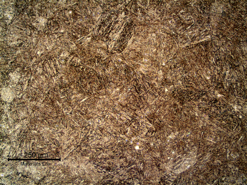 The forged valve presented an uniform tempered martensitic structure, surface hardness 246HB. Replication technique.