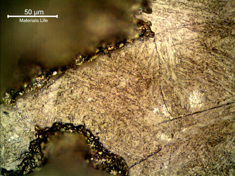 The micrographic aspect of the corroded surface, after polishing and etching with Kalling, shows the margin of one pit and microcracks propagating through previous austenite grain boundaries of the martensitic structure, probably associated to the biological attack and material embrittlement. Replication technique.