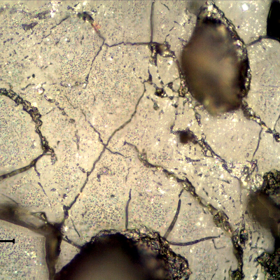 The as polished micrographic aspect of the corroded surface shows pitting and several microcracks, probably associated to the biological attack and material embrittlement. Replication technique.