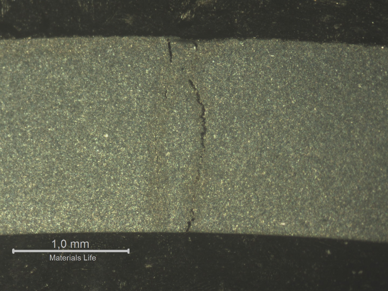 A macrography of the housing in a transverse section showing a through wall cracking. The external side of the housing is in the top of the figure.