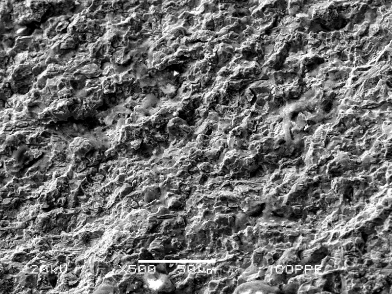 The fracture micromechanism is intergranular in the region where the failure has iniciated.