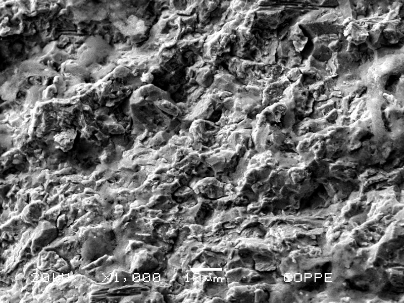Fractographic detail by SEM of the intergranular micromechanism in the region where the failure has iniciated.