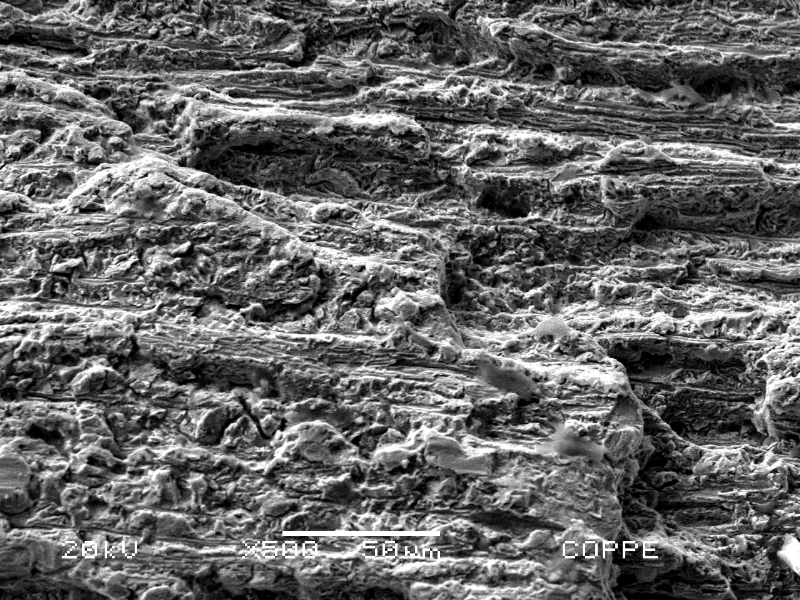The fracture micromechanism is transgranular by quasecleavage in the region where the failure has propagated.