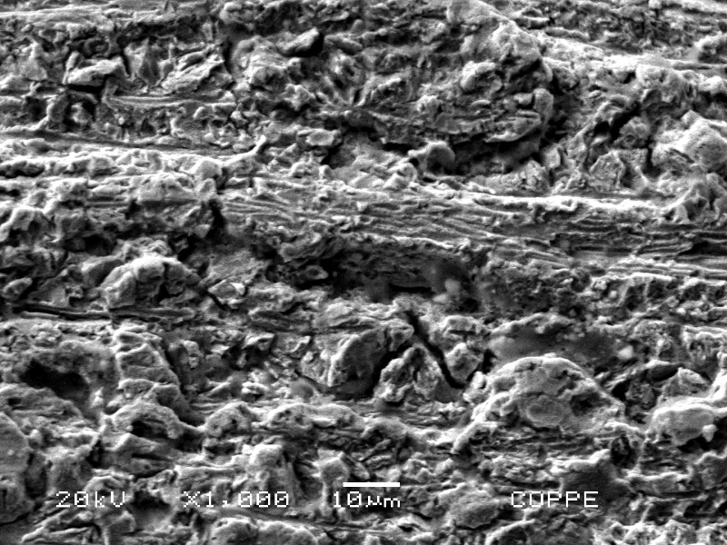 Fractographic detail by SEM of the transgranular micromechanism by quasecleavage in the region where the failure has propagated.
