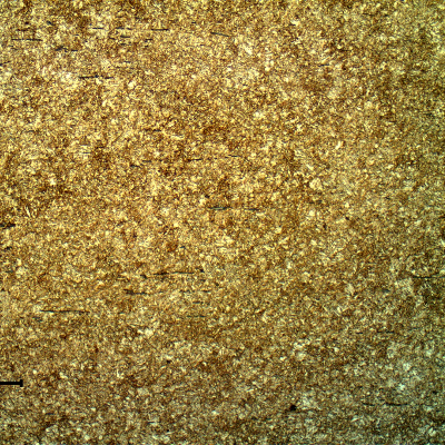 Micrography of a longitudinal section of the housing presenting a uniform tempered martensitic structure.