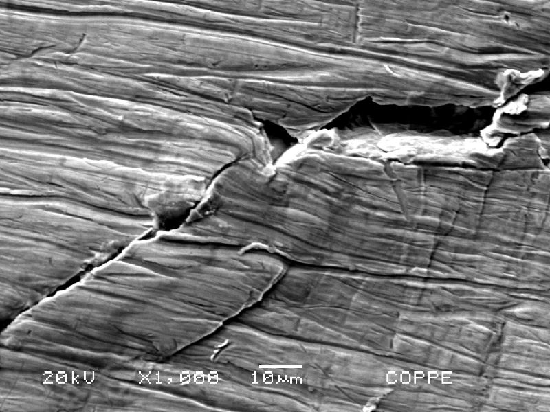 Aspect by scanning electron microscopy of the cracking at the external surface of the fitting. Interesting to observe that the cracks are deformed.