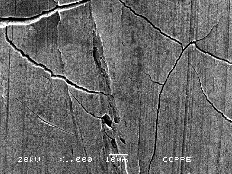 Aspect by scanning electron microscopy of the cracking at the internal surface of the fitting. Interesting to observe multiple cracks with brittle characteristic.
