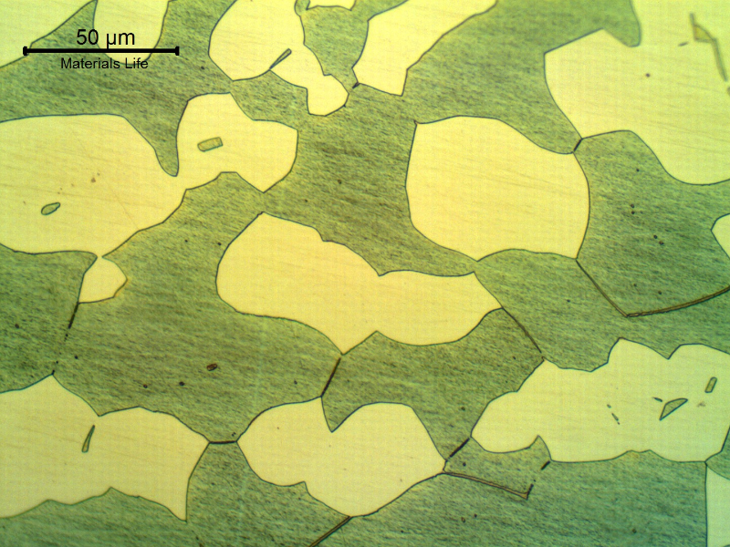 Micrographic detail of the fitting longitudinal section showing a coarse austenitic ferritic structure.