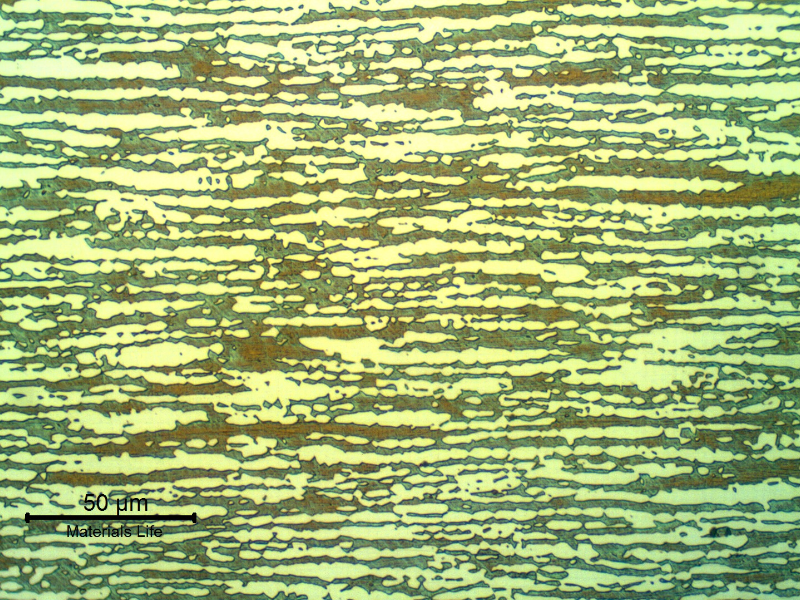 Micrographic detail of the tubing longitudinal section showing a refined austenitic ferritic structure.