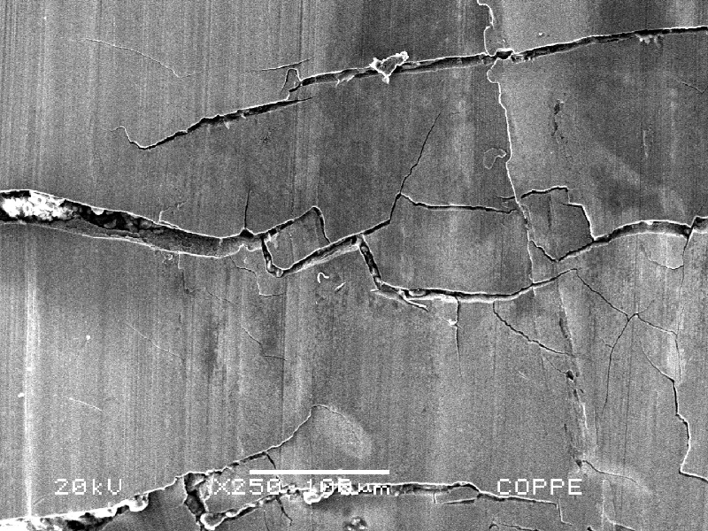 The internal surface of the fitting presents multiple cracks not associated to pitting.