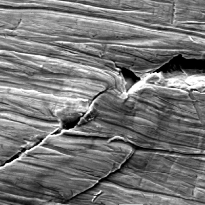 Aspect by scanning electron microscopy of the cracking at the external surface of the fitting. Interesting to observe that the cracks are deformed.