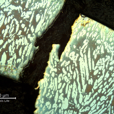 Micrography of a transverse section of the fitting, at the cracking position.  Note the through wall cracking at the coarse austenitic ferritic structure.